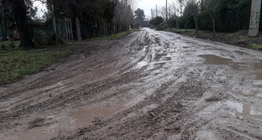 Colella &ldquo;Hace meses que los vecinos no ven cuadrillas municipales trabajando&rdquo;