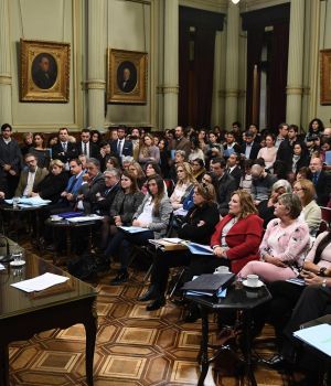 Aborto:  definieron la agenda en el Senado