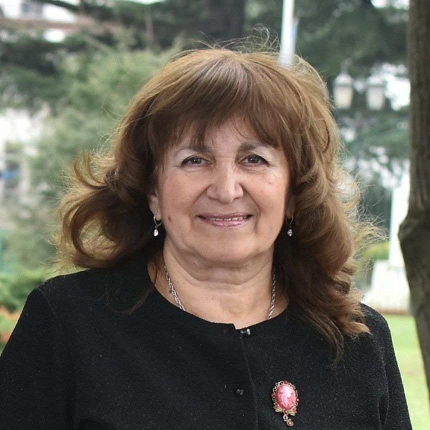 Rosa Funes: siguen destruyendo nuestra carteler&iacute;a pol&iacute;tica