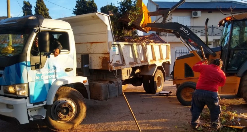Realizan una limpieza integral en el barrio Don Francisco 