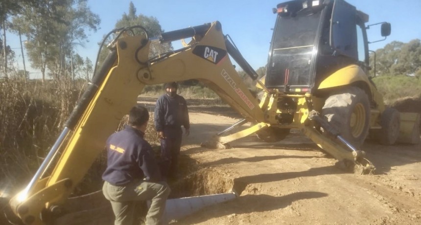 Jardín de Los Pioneros: desde esta semana, el servicio de recolección de residuos será casa por casa