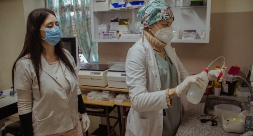 Continúa la campaña de donación de plasma para el tratamiento de Covid-19   