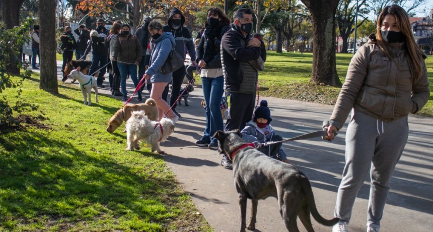 La campaña de vacunación antirrábica llegó a la plaza Eduardo Costa 