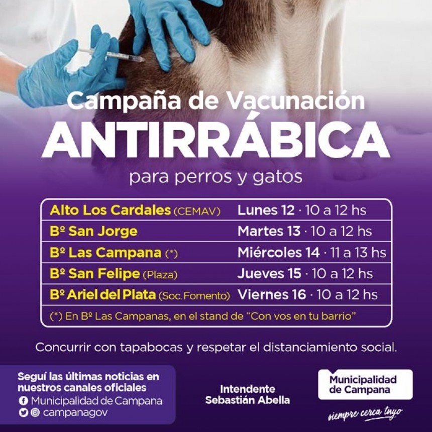 Vacunación antirrábica: informan el cronograma de la semana próxima 