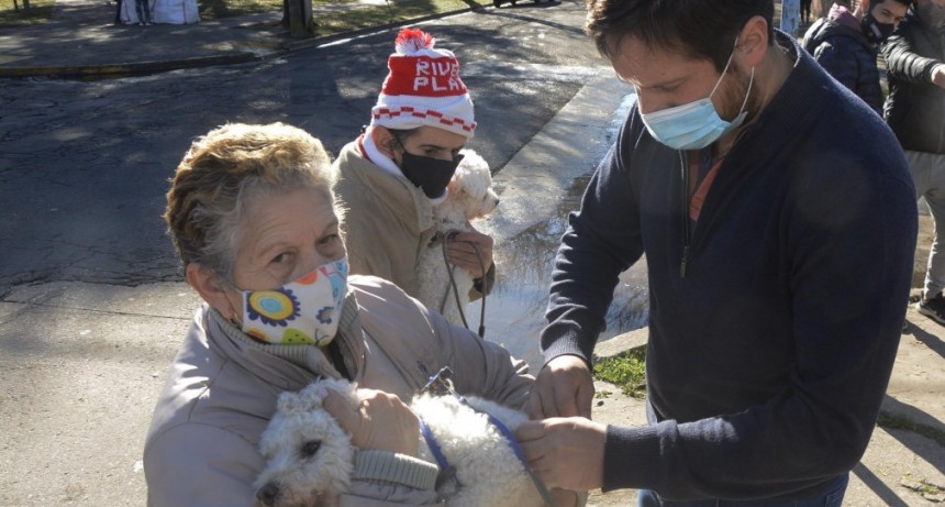 Más de 3.200 perros y gatos fueron vacunados gratis contra la rabia 