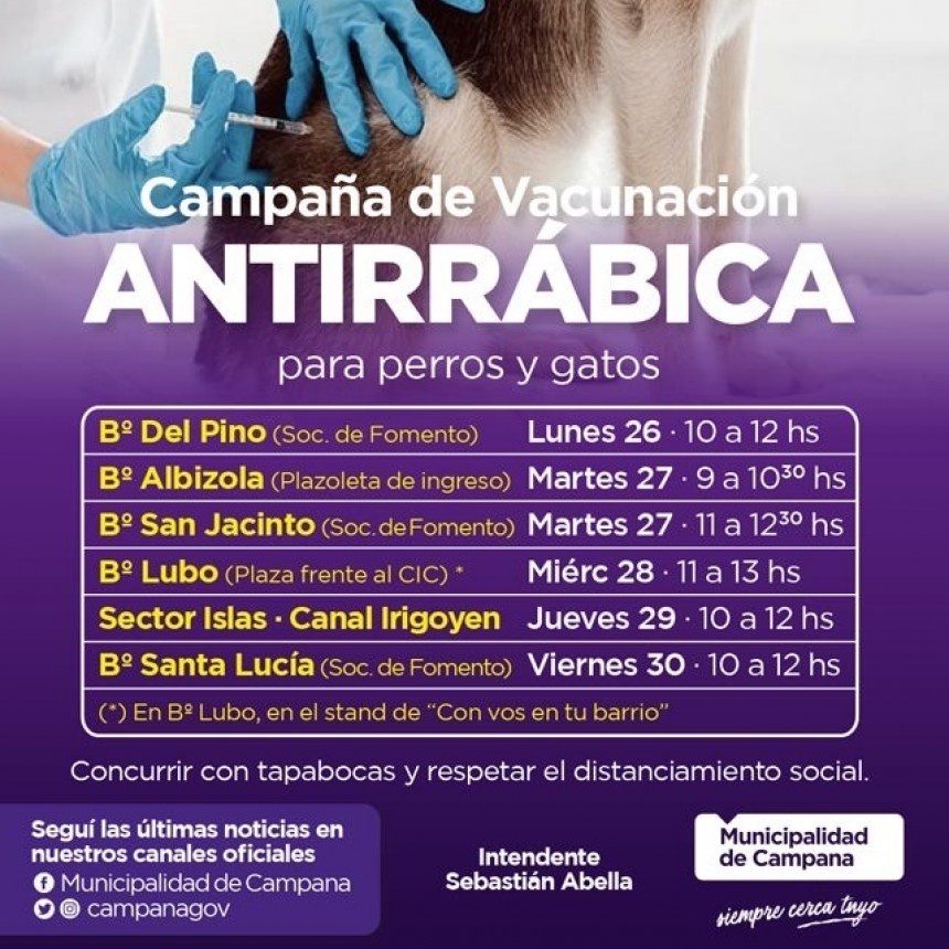 Ya se aplicaron 4.100 vacunas antirrábicas gratuitas a perros y gatos 