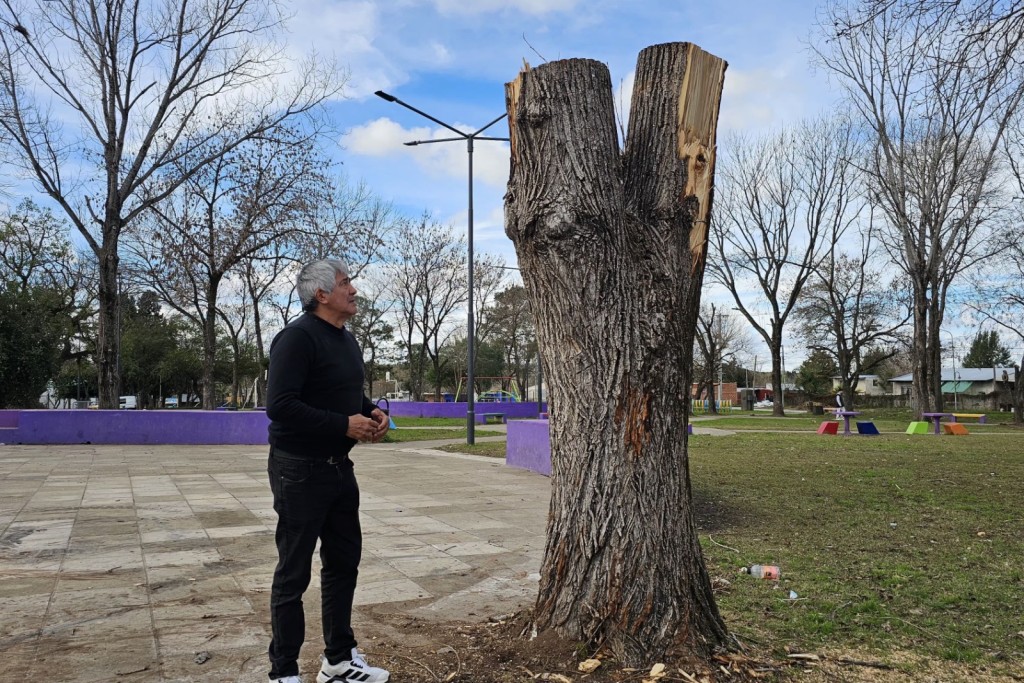 Fuerza Patria denunci&oacute; la destrucci&oacute;n de &aacute;rboles hist&oacute;ricos y pidi&oacute; reforestar la plaza de Otamendi