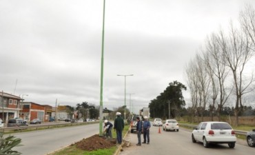 El Municipio trabaja para reparar el desperfecto lum&iacute;nico en Av. 6 de Julio