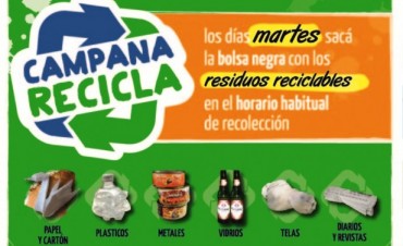El Programa Municipal &ldquo;Campana Recicla&rdquo; recuper&oacute; en Julio 3.860 kg de residuos reciclables