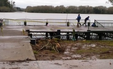 La ca&iacute;da de un &aacute;rbol provoc&oacute; da&ntilde;os en la zona del Muelle de Costanera