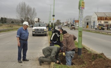 El Municipio contin&uacute;a trabajando en la reparaci&oacute;n de la luminaria de la Av. 6 de Julio