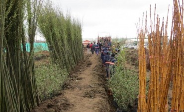 Ma&ntilde;ana se realizar&aacute; una nueva reuni&oacute;n para productores 