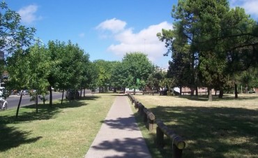 El Municipio ratifica su compromiso con el arbolado p&uacute;blico de la ciudad