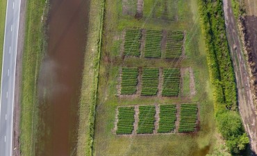 Integra crece y protege a m&aacute;s cultivos contra la sequ&iacute;a y la inundaci&oacute;n  