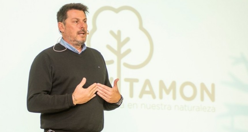 En la primera edici&oacute;n del programa REVITAMON se plantaron 4.000 &aacute;rboles en la Yunga tucumana