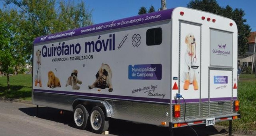 Contin&uacute;an las castraciones gratuitas del quir&oacute;fano m&oacute;vil