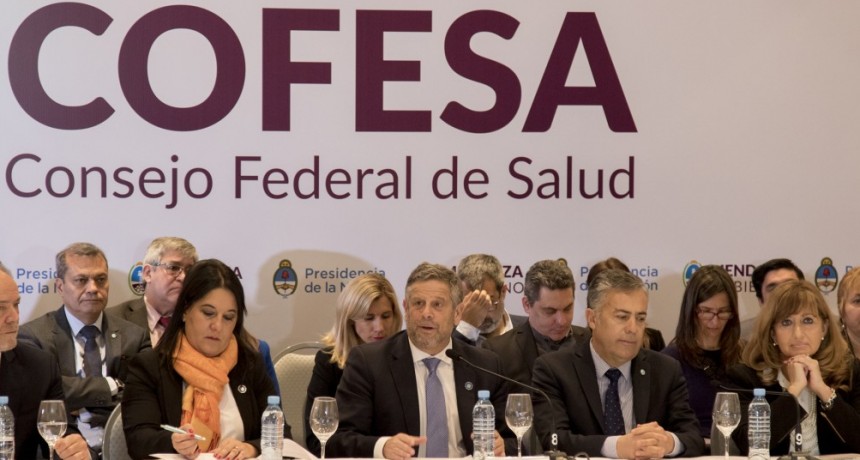 COMENZ&Oacute; EN MENDOZA LA REUNI&Oacute;N DE MINISTROS DE SALUD DE TODO EL PA&Iacute;S