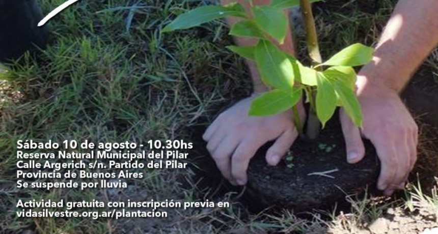 Veni a plantar nativas con vida silvestre