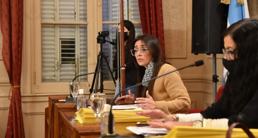 El HCD volvió a sesionar y aprobó importantes proyectos para la ciudad