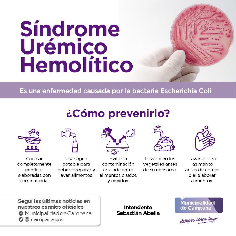 Recuerdan las medidas de prevención del Síndrome Urémico Hemolítico