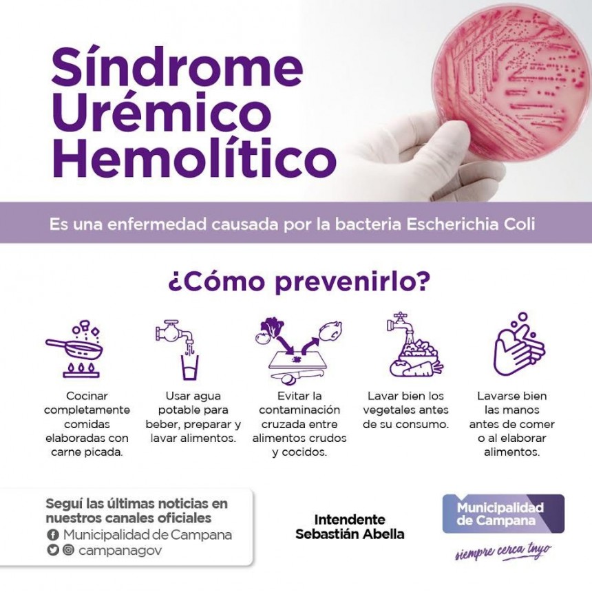 Recuerdan las medidas de prevención del Síndrome Urémico Hemolítico