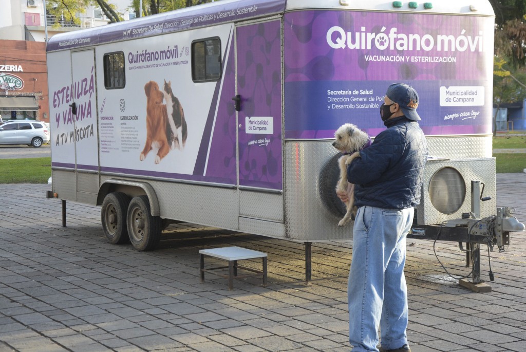 Quirófano móvil: el Municipio realizará castraciones en Dallera y Romano 