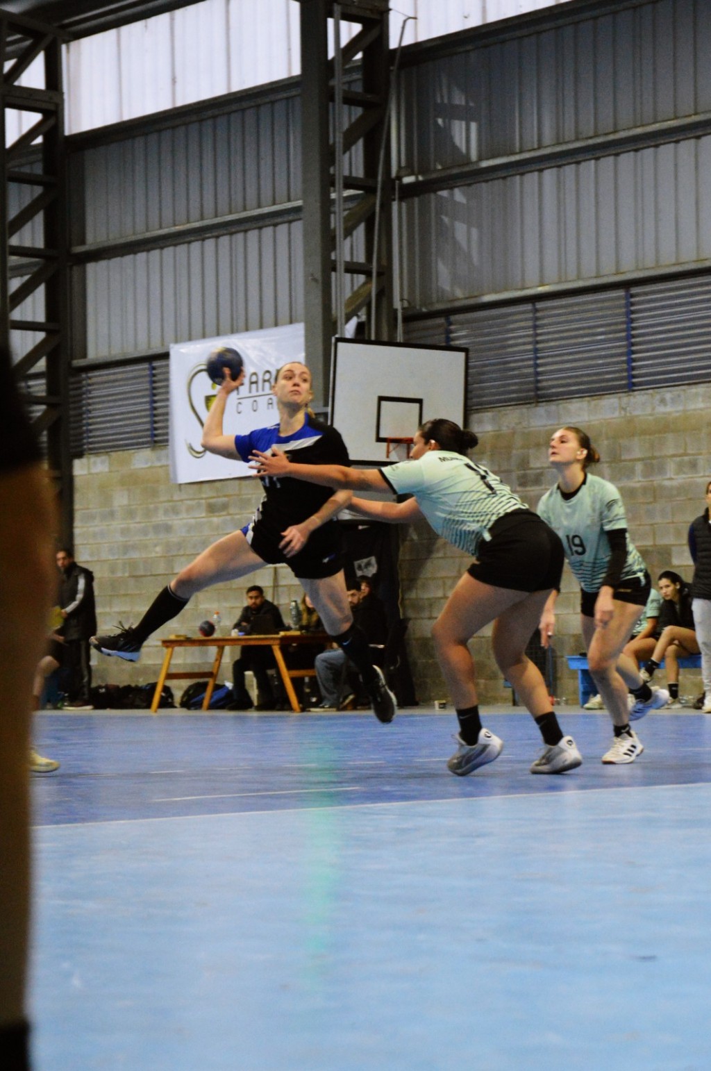 Handball Femenino : Boat enfrentó a Colegio del Parque