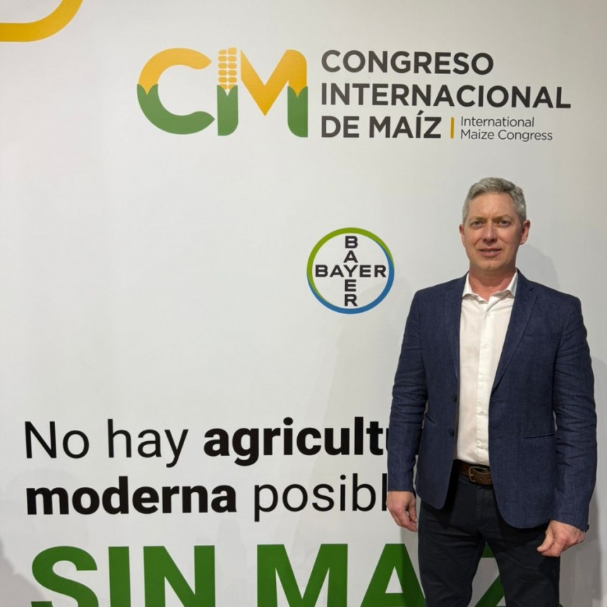 El maíz rompió los límites de lo agronómico en la Pampa semiárida