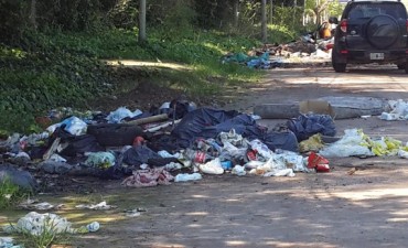 Cazador pidi&oacute; eliminar de una buena vez el basural de la Av. Ricardo Rojas