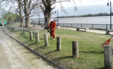 Obras y Servicios P&uacute;blicos realiz&oacute; tarea de corte de pastos y limpieza en la zona del Paseo Costanero
