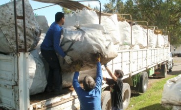 Ya reciclamos m&aacute;s de 17.600 kilos de PET  