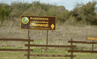 &ldquo;Explorando Campana&rdquo; invita a visitar la Reserva Natural de Otamendi