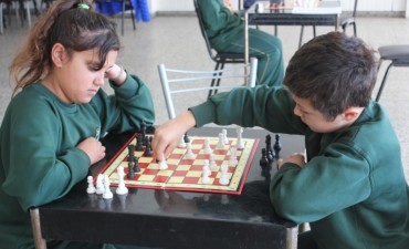 Ni&ntilde;os y j&oacute;venes pueden aprender gratis ajedrez