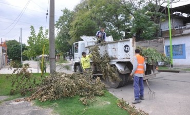 Informan el cronograma de retiro de mont&iacute;culos verdes en la zona de las rutas 4 y 6 