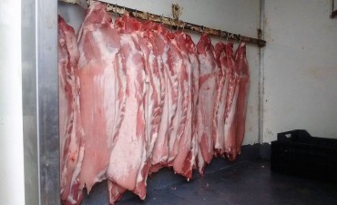 Decomisan otro veh&iacute;culo con alimentos