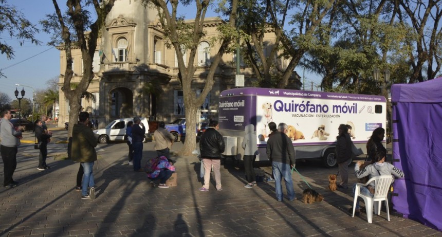 En un nuevo operativo de castraciones, el Quir&oacute;fano M&oacute;vil visitar&aacute; Los Pioneros