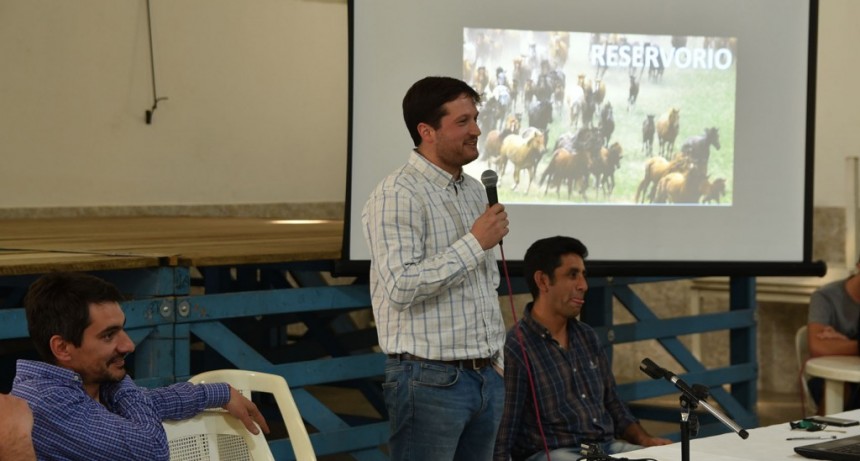 El Municipio realiz&oacute; una jornada sobre enfermedades en caballos