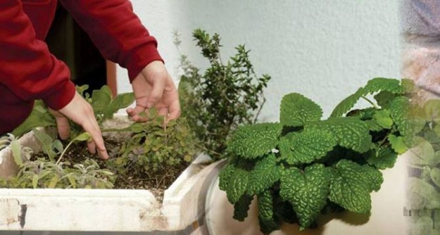 Campana adhiere a la Semana de la Visibilizaci&oacute;n de la Agricultura Periurbana