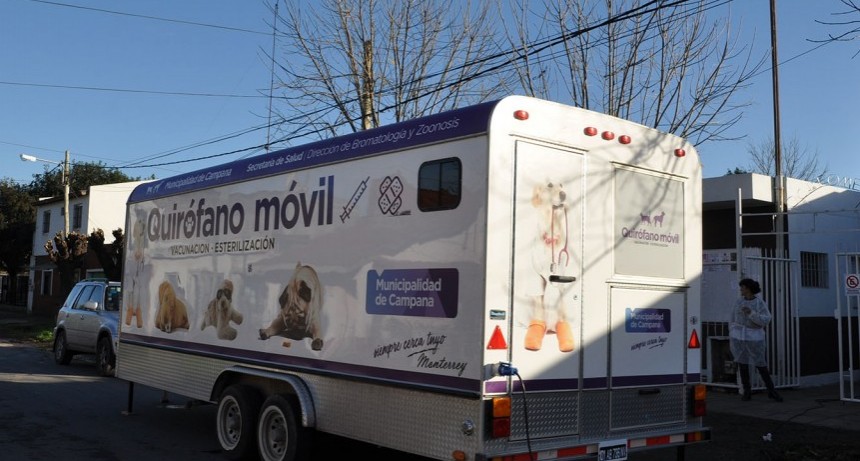 Castraciones gratuitas: la semana pr&oacute;xima el quir&oacute;fano m&oacute;vil visitar&aacute; Barrios Unidos