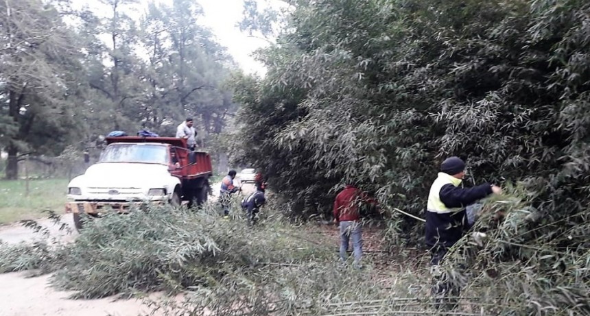 Se realizaron tareas de limpieza y mantenimiento en el corredor de Ruta 4 y 6