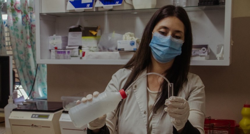 Covid: ocho pacientes fueron tratados con plasma mientras se busca conseguir más donantes 