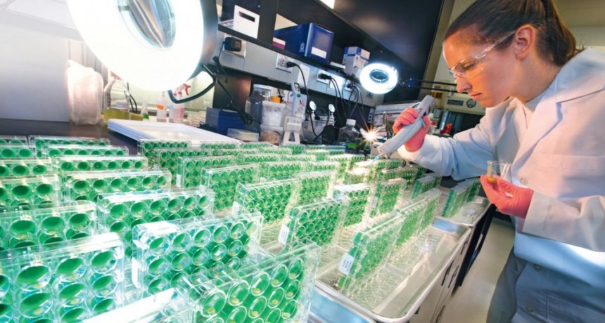 Bayer en AAPRESID:  En plena era digital, Bayer trabaja para que los productores tomen la decisión “perfecta”. 