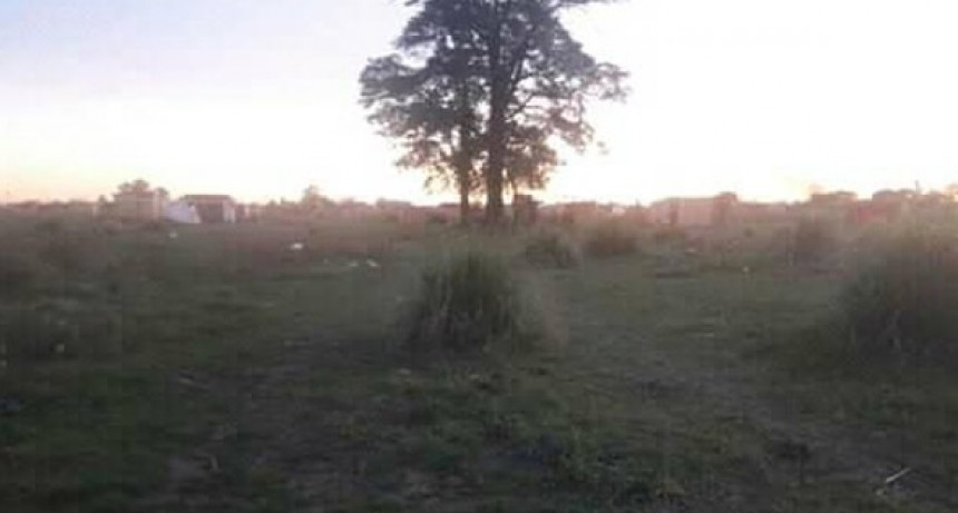 YA RE VENDEN LOS TERRENOS USURPADOS POR FACEBOOK : por Alejandro Cancelare  (APeRA)