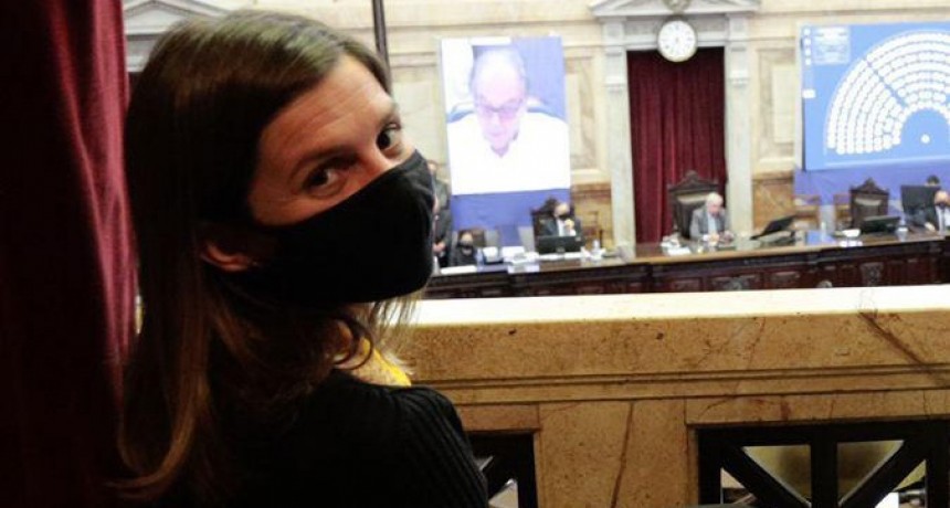 MEDIA SANCIÓN EN DIPUTADOS PARA LA LEY DE DEFENSA DE LOS ACTIVOS DEL FONDO DE GARANTÍA DE SUSTENTABILIDAD