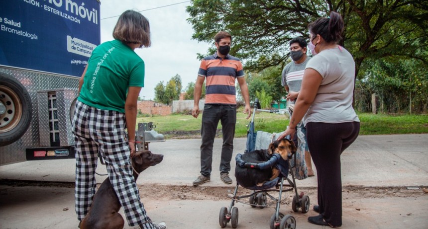 Gonzalo Brutti: Es fundamental promover la tenencia responsable de mascotas