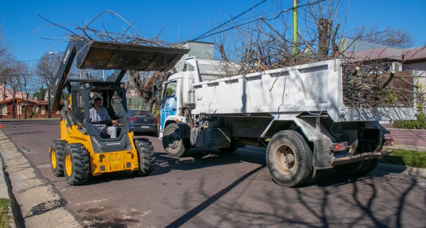 EL MUNICIPIO SIGUE FIRME CON EL MANTENIMIENTO DE LA CIUDAD