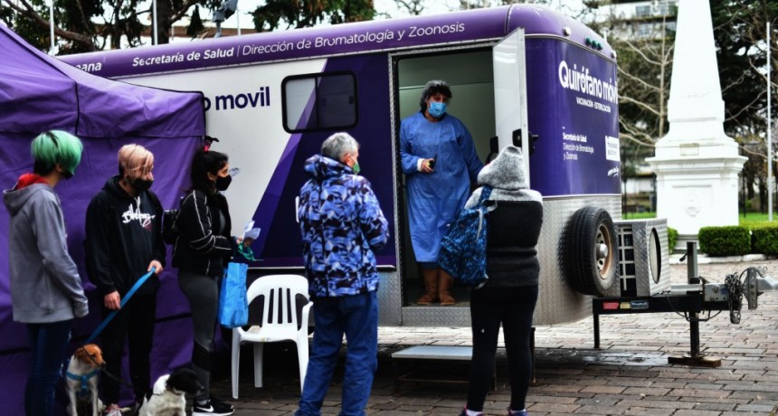 El Municipio vacunará mascotas contra la rabia en la Plaza Eduardo Costa