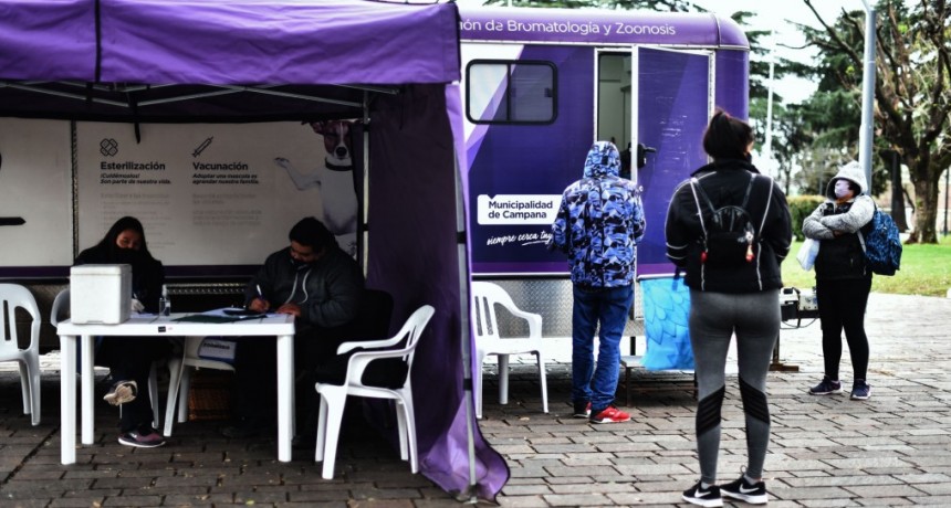Hasta el viernes, vacunarán mascotas contra la rabia en la Plaza Eduardo Costa
