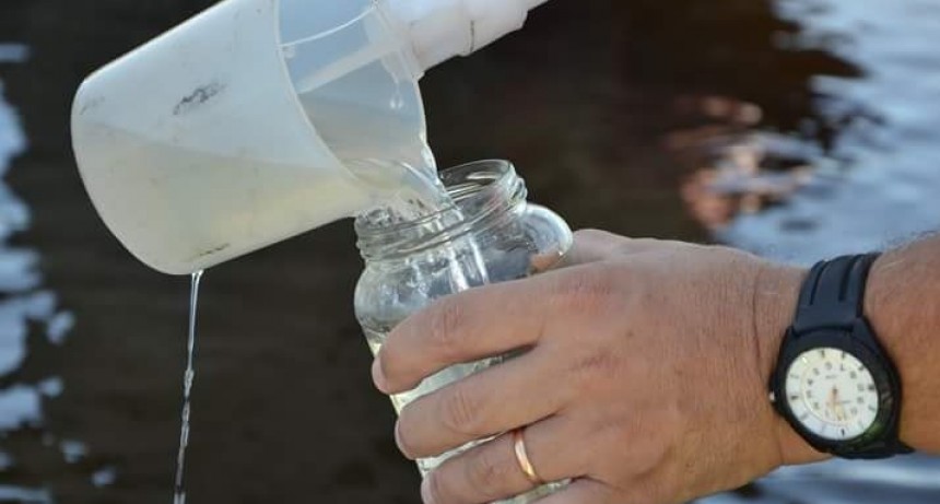 Pedirán informes al Intendente por la aparición  de Glifosato en Los Pioneros