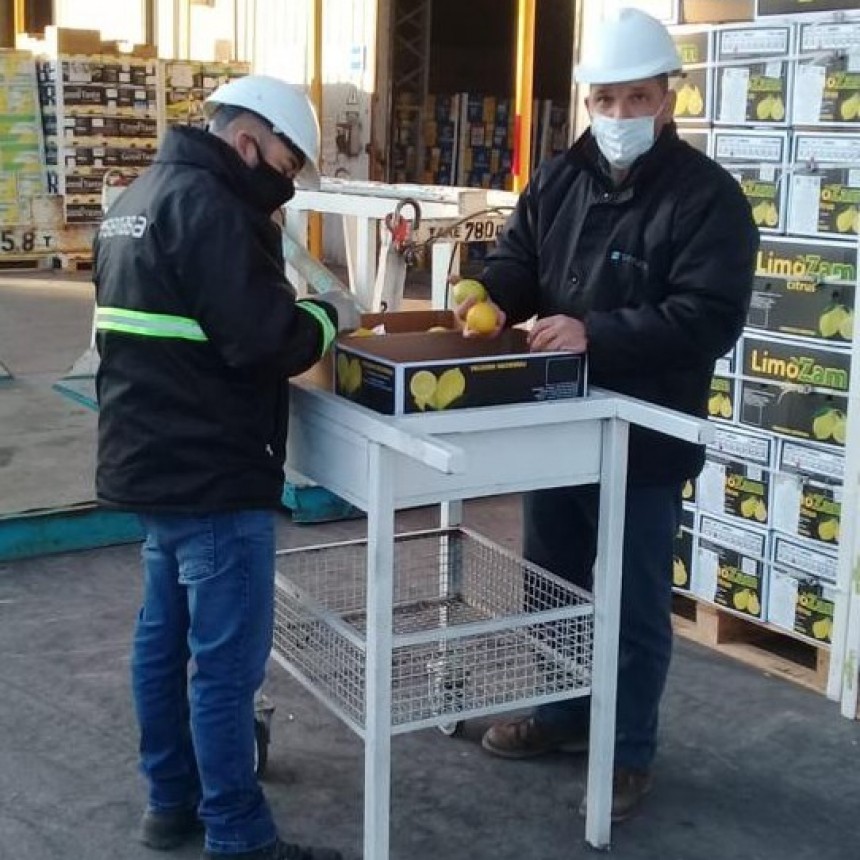 El Ministerio de Agricultura certificó embarque histórico de cítricos argentinos